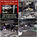 [없음] 유기견의 대모 이용녀 선생님 집 <b>화재</b>