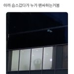 이거 <b>쟈니</b>