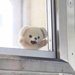 얘두라 나이제 고1<b>인디</b>