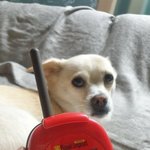 우리반 어떤애가 판녀신호 함 ㅌㅋㅋㅋㅋㅋㅋㅋㅋㅋㅋ ㄹㅈㄷ