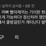[NCT즌] 아 이댓글 개웃<b>김</b>