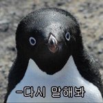 [이것좀봐줘] <b>아오</b> 미친 나만큼 쪽팔린 애도 없을거다