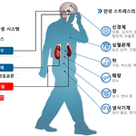 코티졸 늘면 <b>성욕</b> 감소함.jpg