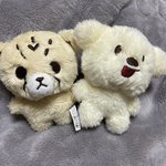 [NCT즌] 김아지 왔엉