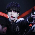 [세븐틴] 권씨 <b>햄</b><b>찌</b>파 들어와봐❤️❤️