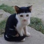 [댓글부탁해] <b>Hoxy</b>.. 마케팅 동아리 하는사람?