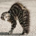 <b>작년쯤</b> 전쟁 하자하자 그랬었는데.JPG