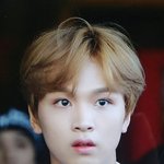 [NCT즌] <b>동물</b> 머 닮았누