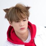 야제발 이<b>진솔</b>이 개빻은거야?