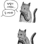 [<b>19</b>] 내 자낳괴<b>썰</b> 들을사람