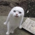 [댓글부탁해] 얘들아 나 <b>후면</b>카메라 쌉에반디?