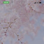 [NCT즌] 이런 프사로 <b>앙큼</b>하게