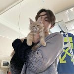 [세븐틴] 이거 일코용 프사로 딱임