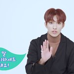 [세븐틴] 갠적인 생각이지만