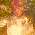 [방탄소년단] 이삐들아 나 사진즘 <b>차자</b>줄래 부탁이야ㅠ