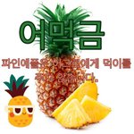 나 판 2년하면서 파인에플 먹금짤 <b>첨봄</b>ㅋㅋㅋㅋㅋ