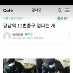강남역 12번 출구 껌파는 강아지