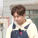 [세븐틴] <b>네발</b>라이더 진짜 귀여웠음