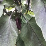 보기만 해도 흐뭇해요 ^^