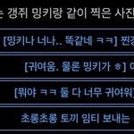 [NCT즌] 오우 이건 <b>유사</b>가 안돼