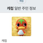 [댓글부탁해] 아까 잠깐 모동숲하는데