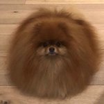 [방탄소년단] <b>강주</b>ㅣ