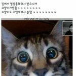 너네 <b>샤워</b>시간 얼마나 걸림?ㅠㅠ