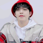 [세븐틴] 멤버 최애<b>머리</b>