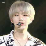 [세븐틴] 얘들아 너네 <b>호시</b>