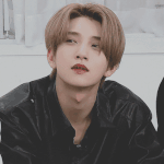 [세븐틴] 내가 입덕한 이유가