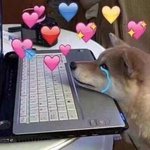 본진 수록곡 추천 좀