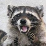 [NCT즌] 나 지금 <b>솜사탕</b> 씻은 너구리됨