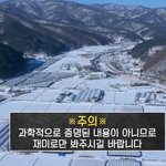 차태현과 조인성으로 보는 <b>MBTI</b> 유형 차이