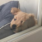 니네오늘아우터 뭐 <b>입음</b>?