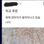[댓글부탁해] 나 쌤 잘못만난듯
