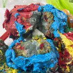 곰팡이를 돈주고구매하여 아이들이먹었어요(혐오주의)