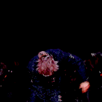 [강다니엘] 강다니엘 인기가요 <b>페이스캠</b>,움짤