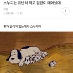 [댓글부탁해] 나 진짜 부모님한테 너무 죄송스러움
