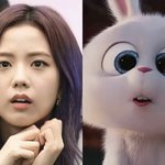 [드루와] 지수 ㄹㅇ 인간 <b>스노우볼</b>아니냐