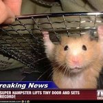 <b>잼민</b>이 기준