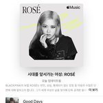 애플뮤직 로제 플리