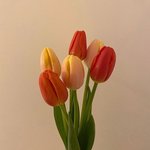 [댓글부탁해] <b>무난</b>한 블라우스 !!!