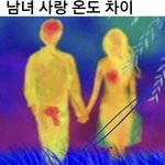ㅅㅂ 찐이어도 역겹고 <b>가짜</b>여도 역겹다