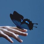 내 다리에서 얇은 <b>일자</b>다리 되려면