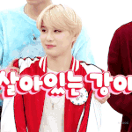 [NCT정우] 우리 살아있는<b>강아지</b>님