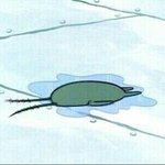 <b>EBS</b> i 통합과학 강의들으려는데