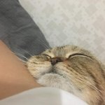 남자애들 은근 카톡프사 <b>염탐</b> 많이하는듯