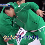 우리집 시<b>츄</b>도 재밌게 보고있는 뭉쏜~~