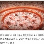 [진격의거인] 너네 진격거에 나온 그 꽃이름 알아?