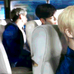 너네 본진 <b>맏이</b>들 어때?